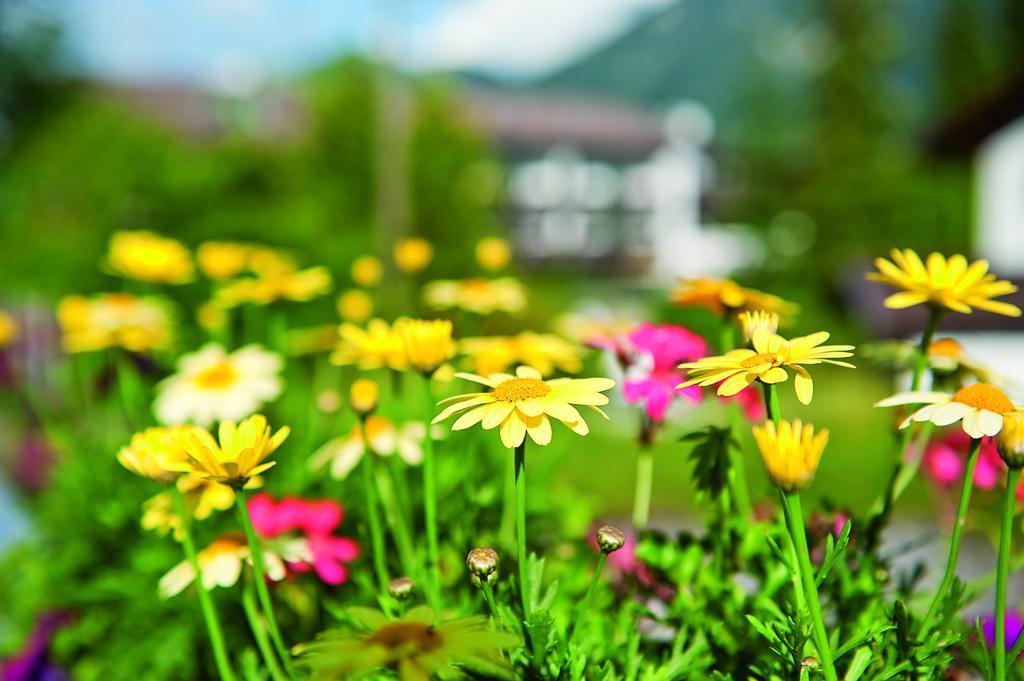 Parkhotel Wallgau Zewnętrze zdjęcie